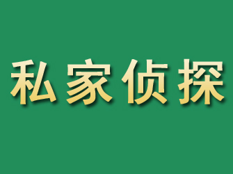 龙文市私家正规侦探