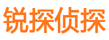 龙文市侦探